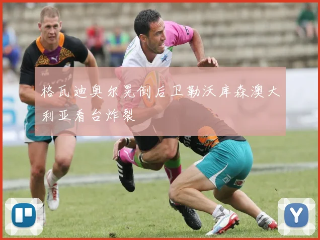 格瓦迪奥尔晃倒后卫勒沃库森澳大利亚看台炸裂