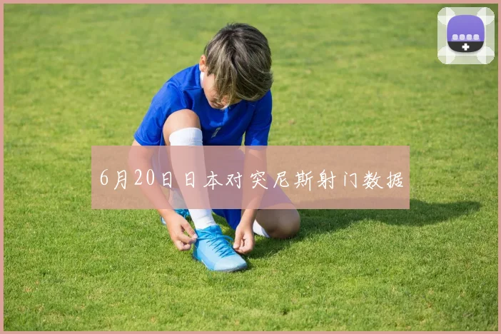 6月20日日本对突尼斯射门数据