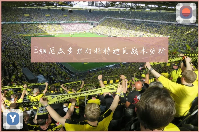 E组厄瓜多尔对科特迪瓦战术分析