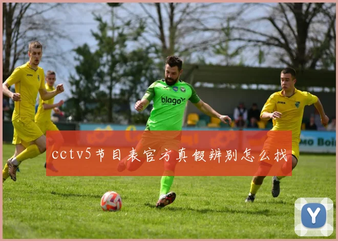 cctv5节目表官方真假辨别怎么找