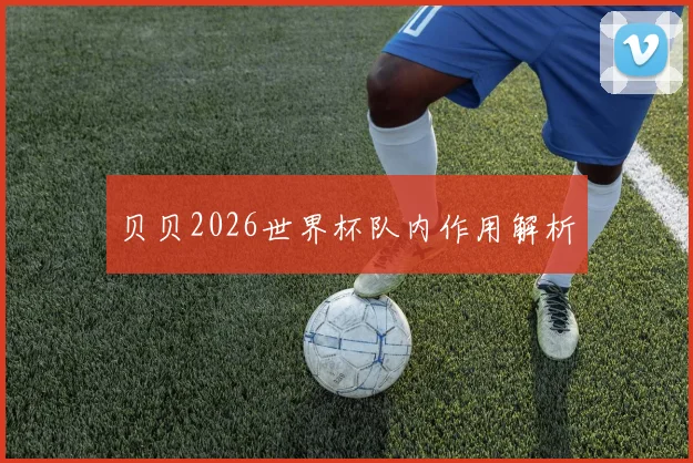 贝贝2026世界杯队内作用解析