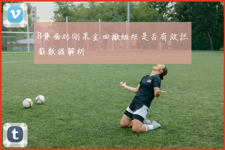 B费面对刚果金回撤组织是否有效拦截数据解析
