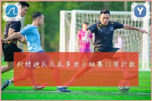 科特迪瓦厄瓜多尔小组赛门将扑救