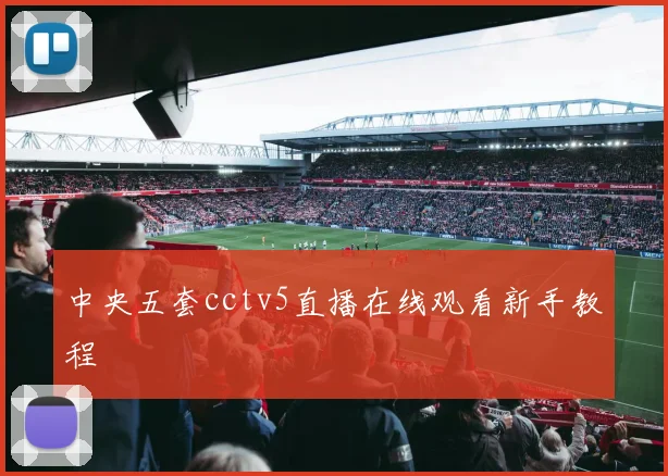 中央五套cctv5直播在线观看新手教程